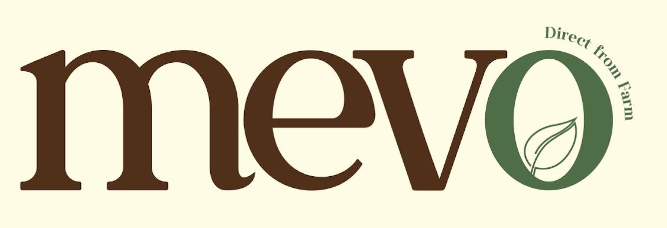 Mevo Logo